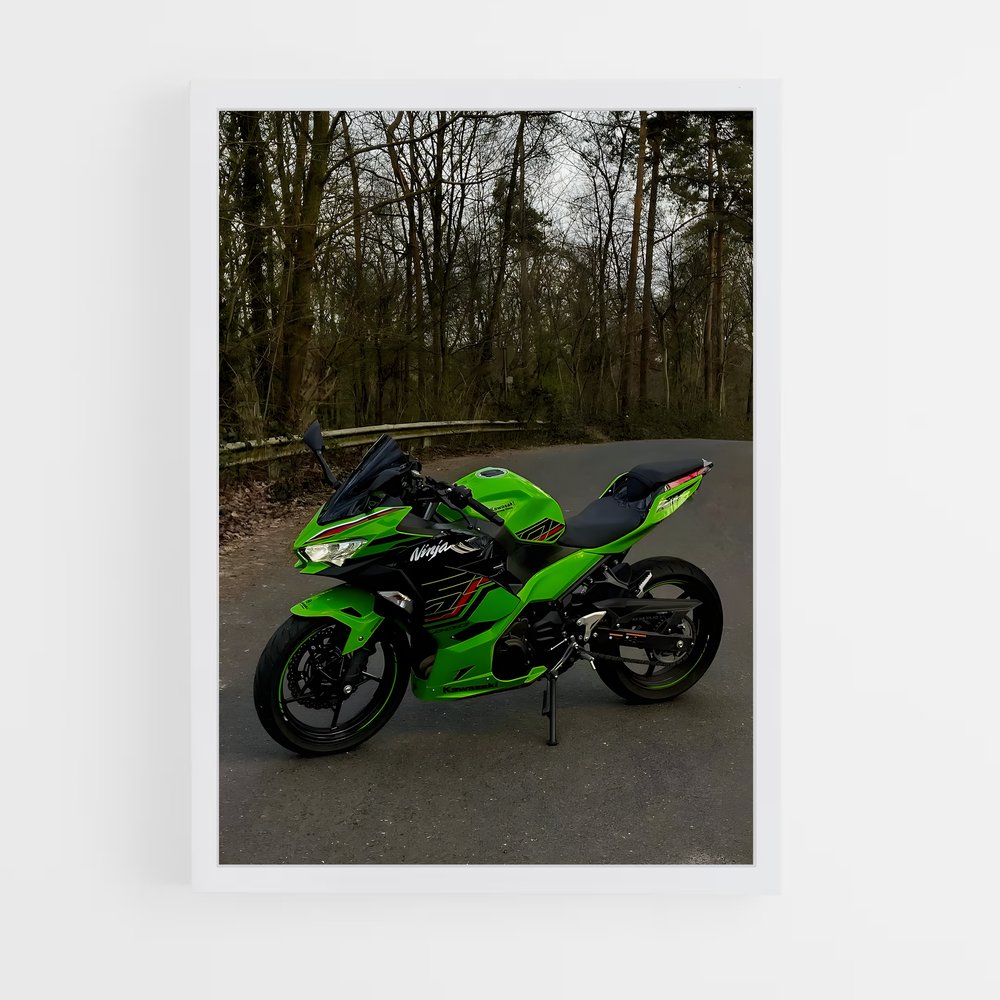 Poster Ninja Intrépide (vue 3)